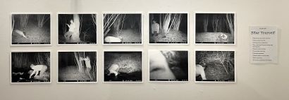 BEar YOURSELF - a Photographic Art Artowrk by Camors Salomé-Charlotte